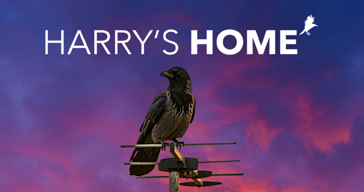 Harry’s Home